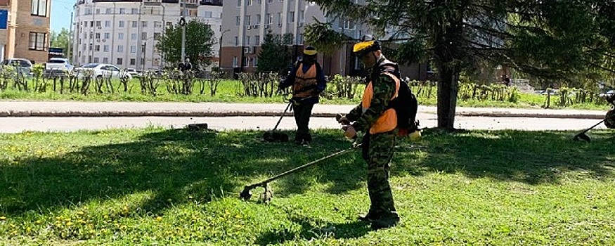 Покос травы в Чебоксарах находится на контроле главы администрации Дениса Спирина