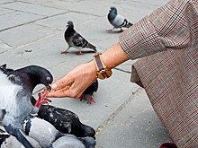 Мартин Парр снял рекламную кампанию часов Gucci