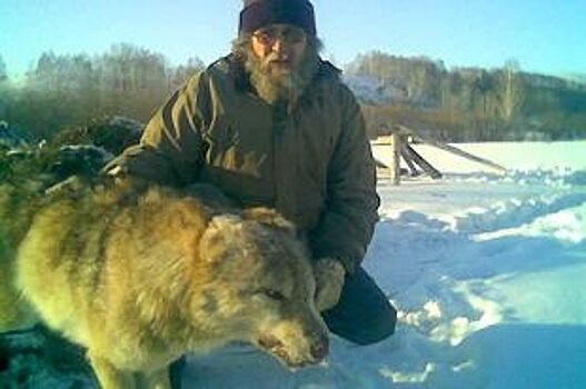 В Сибири не без медведя. Семь историй о визитах диких зверей в сёла