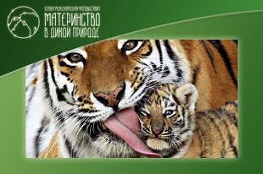 В Петербурге открылась выставка о силе материнской любви в мире природы