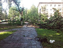 В Тверской области сильнейший ураган повалил деревья и оборвал провода