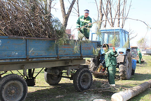 К 160-летию станицы под Анапой ведётся масштабная реконструкция парка