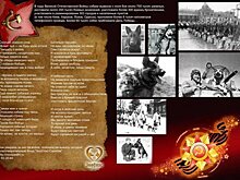 Саратовская активистка предложила пройти в «Бессмертном полку» с изображением собак