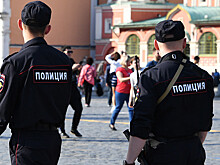 В Госдуму направлена инициатива о декриминализации статьи об оскорблении представителей власти