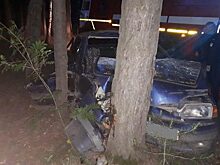 В Зауралье ВАЗ врезался в дерево. Пассажир погиб