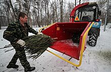 Утилизация елок началась в Москве