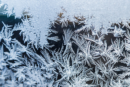 Постепенное похолодание в столице ожидается с выходных до середины недели