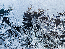 Постепенное похолодание в столице ожидается с выходных до середины недели