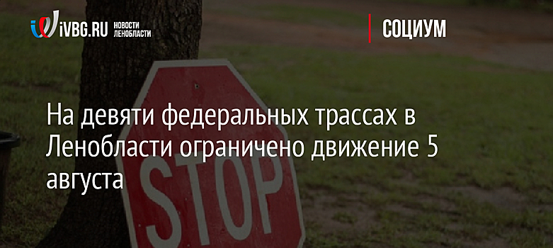 На девяти федеральных трассах в Ленобласти ограничено движение 5 августа