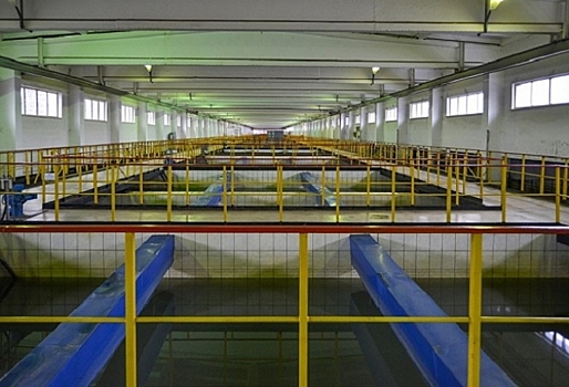 В «Росводоканал Омск» стартовал 2-й этап акции «Кубометры в подарок»