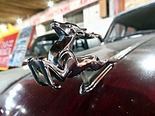 Экс-дизайнер Rolls-Royce дал оценку российскому автопрому