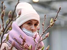 Жителей Петербурга просят продолжать носить маски в общественных местах