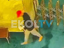 В Стамбуле местный житель устроил пожар в мечети Айя-София