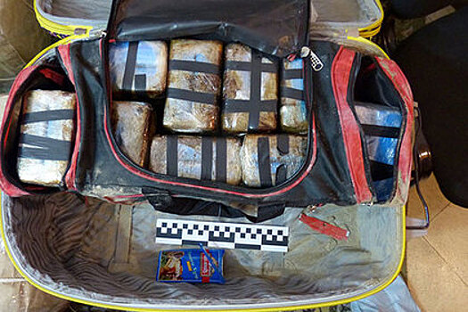 Раскрыта схема поставок кокаина из Аргентины в РФ