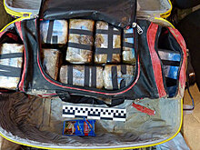 Раскрыта схема поставок кокаина из Аргентины в РФ