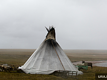 Московский дизайнер месяц прожил в чуме в ЯНАО