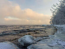 "Водоканал Петербурга": замерзание Ладоги благоприятно для размножения нерп