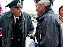 Празднующих на Поклонной горе развезут на 200 автобусах