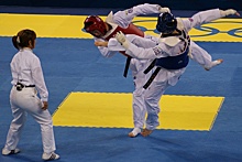 Нижегородцы завоевали четыре медали на международном турнире по тхэквондо