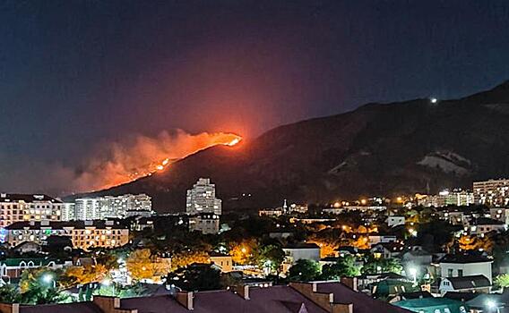 Подробности пожара в Геленджике - полиция задержала предполагаемого виновника