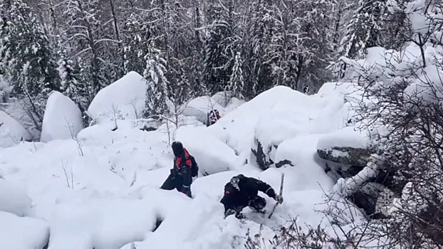 Телефон пропавшей в горах Красноярского края семьи внезапно подал сигнал