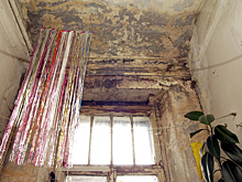 Смерть мальчика от черной плесени изменила законодательство о социальном жилье