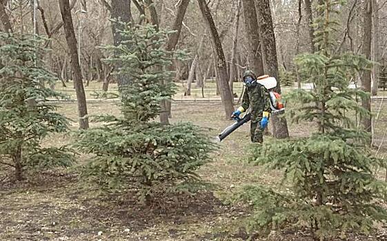 Тюменцы жалуются на скопление клещей в «Айвазовском»