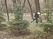 Тюменцы жалуются на скопление клещей в «Айвазовском»