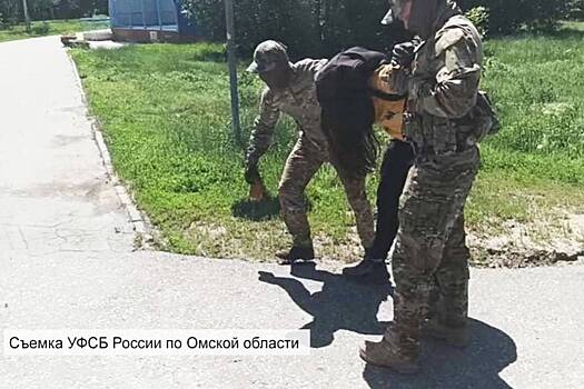 Призывавший к отделению Сибири россиянин получил срок