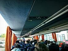 Города и районы Красноярского края получили 70 новых школьных автобусов