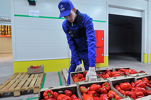 Ретейлеры не готовы подчиняться закону