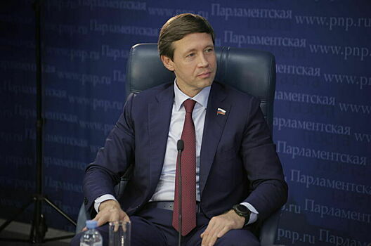 Сенатор Шейкин предложил изучить ряд ограничений для иноагентов в Рунете