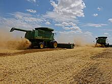 В Британии заявили о незаменимости зерновой сделки