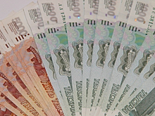 В Башкирии рассказали о господдержке фермеров в 2019 году