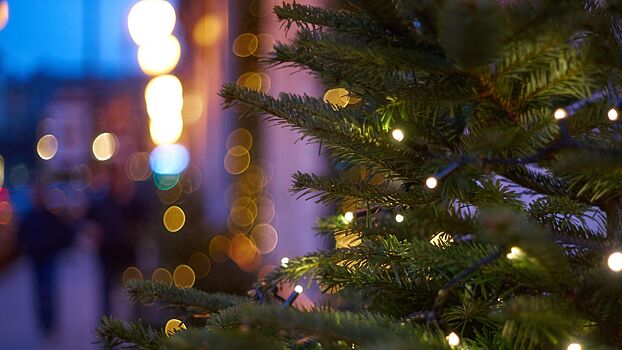 Новогодние праздники «самыми смертельными»