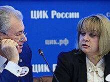 ЦИК может изменить порядок голосования в интернатах для инвалидов