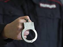В полиции назвали число задержанных после беспорядков в аэропорту Махачкалы