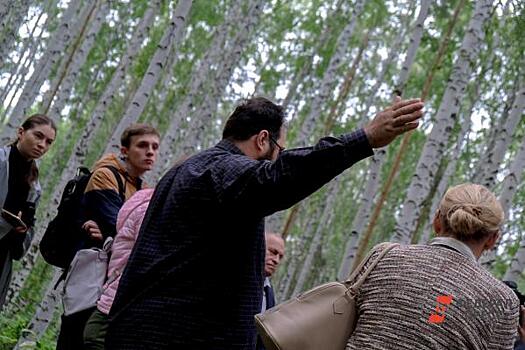 Остановят ли вырубку леса под Тюменью: жители Мотушей встали стеной перед «ССР»