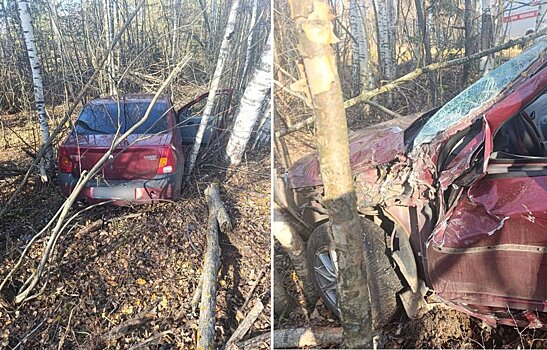 Пьяная автомобилистка съехала с трассы под Ижевском