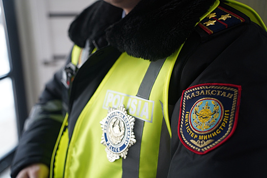 Операция «Конопля»: в Казахстане изъяли 27 тонн наркотиков