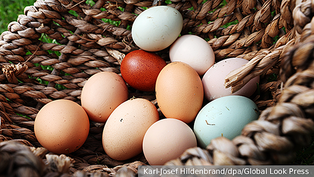 Как правильно варить яйца и чем они полезны