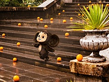 Начались съемки продолжения «Чебурашки»