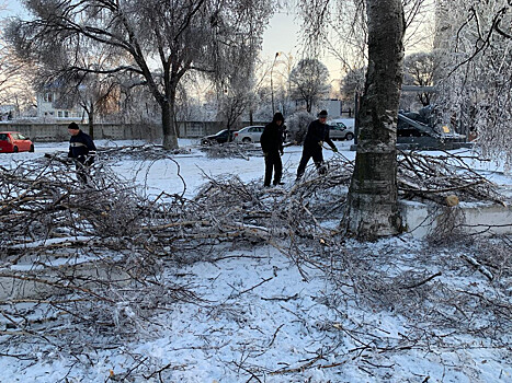 Приморцы пожаловались заместителю генпрокурора на затянувшийся ремонт ЛЭП после ледяного шторма