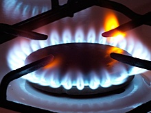 Болгары потребовали от правительства покупать российский газ за рубли