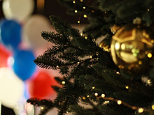 Игорь Комаров поздравил нижегородцев и жителей ПФО с Новым годом и Рождеством