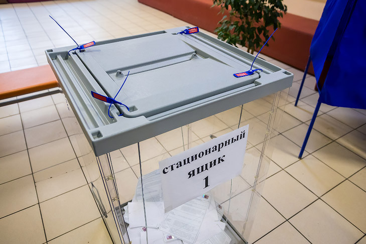 Девушку с зеленкой наказали за порчу бюллетеней на выборах в Новосибирске