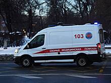 Дети звезды «Вороваек» разбились на санках