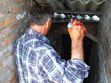 Убитого сына на крыльце дома нашел житель села Александровка