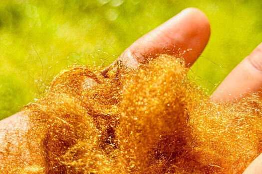 Ученые возродили легендарный «морской шелк» императоров и понтификов