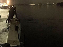 Жительница Красноярска прыгнула в Енисей и покусала спасшего ее молодого человека